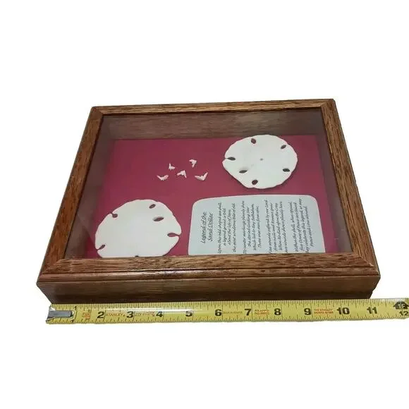 VNT Legend Of The Sand Dollar Maplewood Frame RED Shadowbox Decor Art Coastal